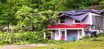 Kalispell Tree Care