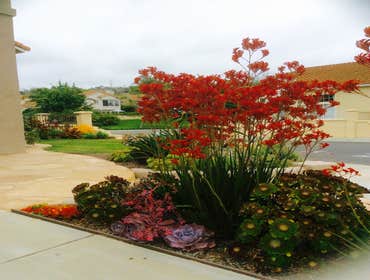 Carlsbad