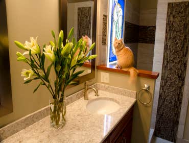 Master Bathroom PhotoBs from Bridgewater Construction, Inc. Master Bathroom Remodel