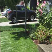Photos from Newport Landscape Services LLC