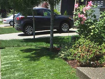 Photos from Newport Landscape Services LLC