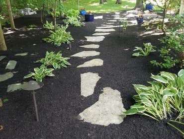Photos by Jm Landscape and Tree Services #1
