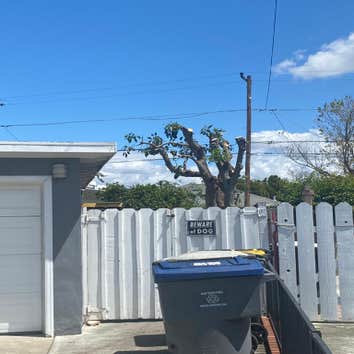 Photos by Jose Marin Tree Service #1