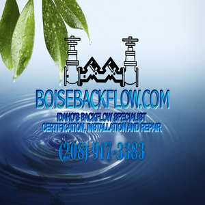 Boise Backflow