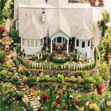 Shore Pine Landscape Service