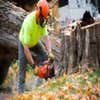 Prairie City Tree Service logo