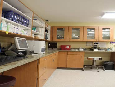 Dansville Animal Hospital Project