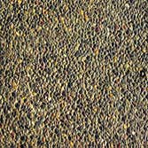 Exposed Aggregate