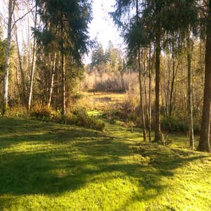 Wildlife viewing