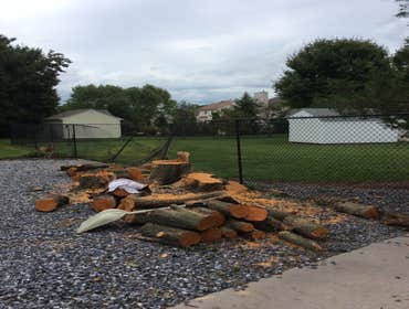 Tree Service South Jersey