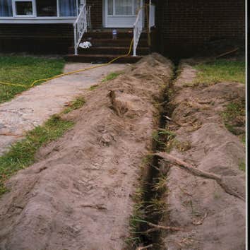 water and sewer lines Tree roots in sewer lines, water line improved water pressure