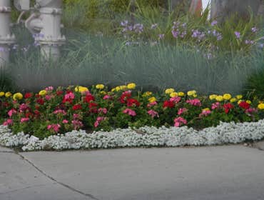 Professional Groundworks Photos
