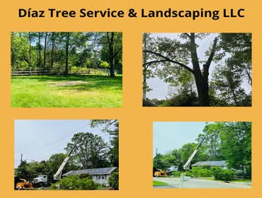 Photos by Diaz Tree Service & Landscaping LLC #23