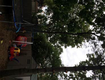 Tree Service South Jersey