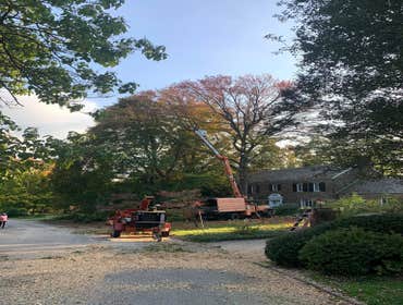 Photos by Gm Landscaping construction LLC #1