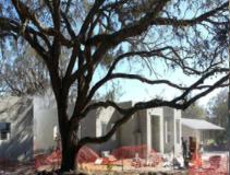 Photos by Integrity Property Services Inc #1