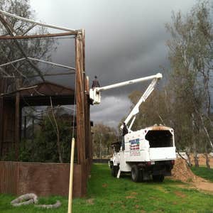 Estates Tree Service