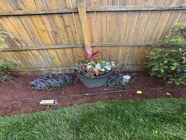 Photos by Beauty Meister Landscaping LLC #2