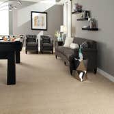 Photos from Bentley Carpet Installation & Sales, Inc.