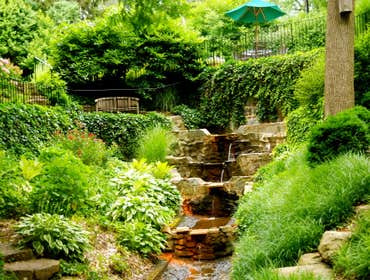 Photos by Spring Woods Landscaping LLC #1