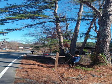 Flores Tree Services General & Landscaping