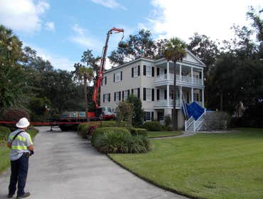 Savannah