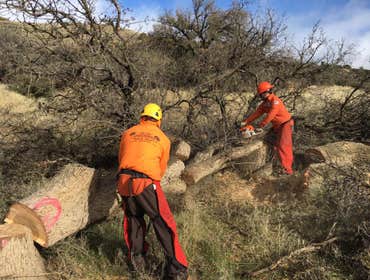 Photos from Tip Top Arborists