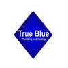 True Blue Plumbing & Heating Inc logo