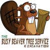 The Busy Beaver Tree Service & Excavation logo