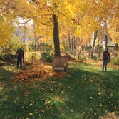 Seasonal SEASONAL SERVICES
We have many options from nice green lawns and clean roads, let C&J Home Services assist you this season. It can be a on