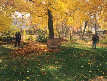 Seasonal SEASONAL SERVICES
We have many options from nice green lawns and clean roads, let C&J Home Services assist you this season. It can be a on