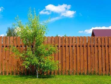 Fences