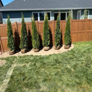 Photos by Osmin´s Landscaping #1