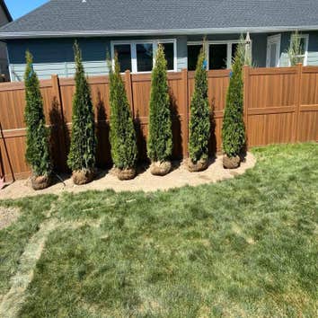 Photos by Osmin´s Landscaping #1