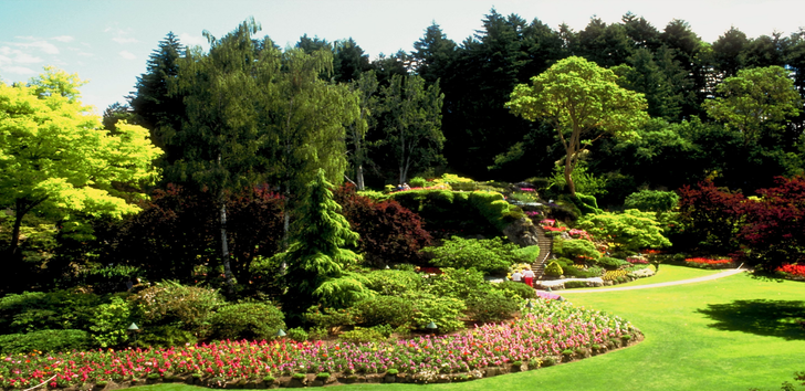 Jersey City Landscaping Experts