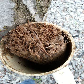 Photos from Scottys Pottys Plumbing