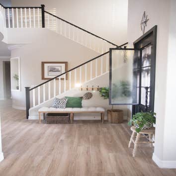 Apex Interiors