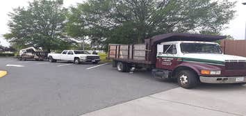 Vienna Tree Service & Landscaping