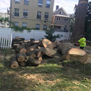 Photos by Aa Treecare, Inc #1