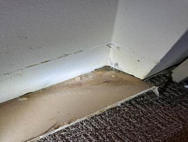 Water Mitigation This project was a roof leak the photos show initial inspection to post demo.