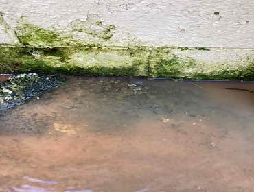 Photos by Bluefrog plumbing and Drain of Sandy Springs #1