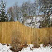 Cedar