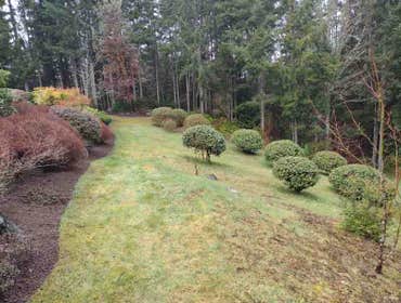 Photos by Sanchez Landscaping LLC #9