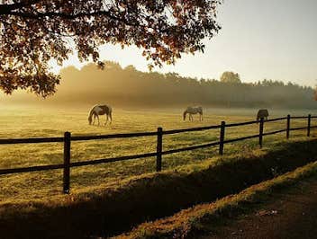 Photos by Royal Gate and Fence Co #1