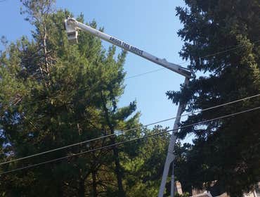 Photos by Amigos Lawn Care & Tree Service #1