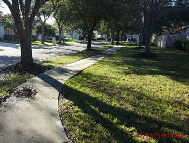 Photos from Popa Construction LLC Before & Afters of a soft wash roof cleaning and driveway and side walk cleaning.