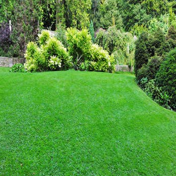Turf Tech Fertilization