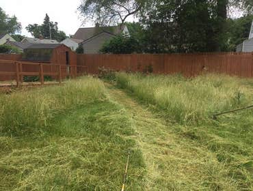 Photos by Greenpal Lawn Care of Los Angeles #1