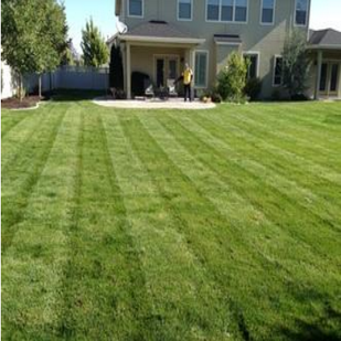 Photos from O and A Lawn Care and Landscape LLC