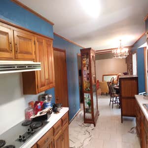 Royal Ridge Repaint/Cabinets
